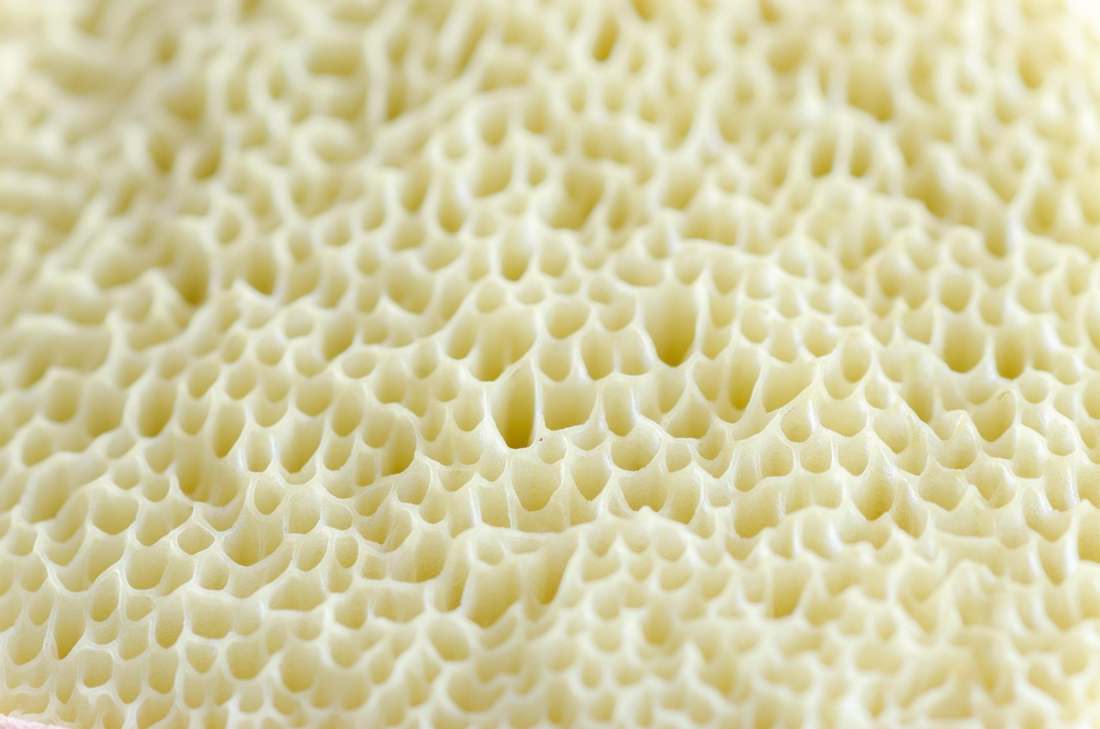 47258321060127|47258321092895|47258321125663|47258321158431|47258321191199|47258321223967|47258321256735|47258321289503