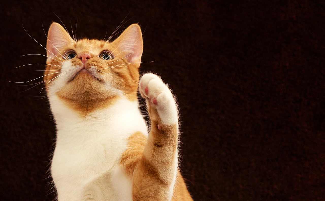 Caneca de Aço Inox com Tampa 450ml